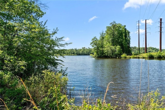 15019 Blayton Ln, Lanexa, VA 23089 - photo 48