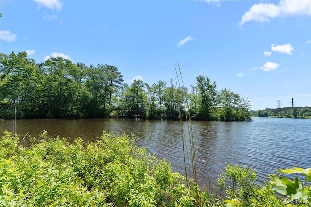 15019 Blayton Ln, Lanexa, VA 23089 - photo 49