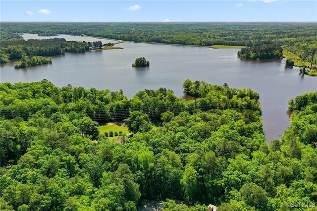 15019 Blayton Ln, Lanexa, VA 23089 - bird's eye view of a forest and a large body of water