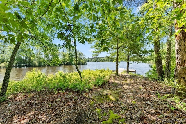 15019 Blayton Ln, Lanexa, VA 23089 - photo 46