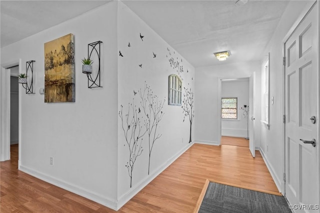 2239 Williamsburg Rd, Henrico, VA 23231 - photo 4