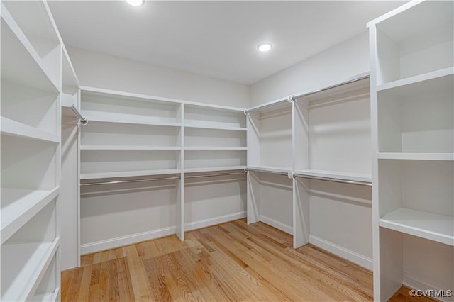 spacious closet featuring light wood-style flooring