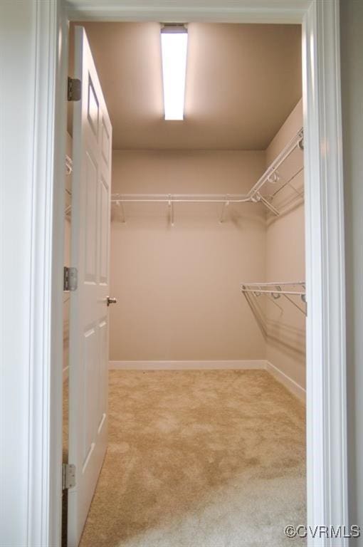 spacious closet featuring light carpet