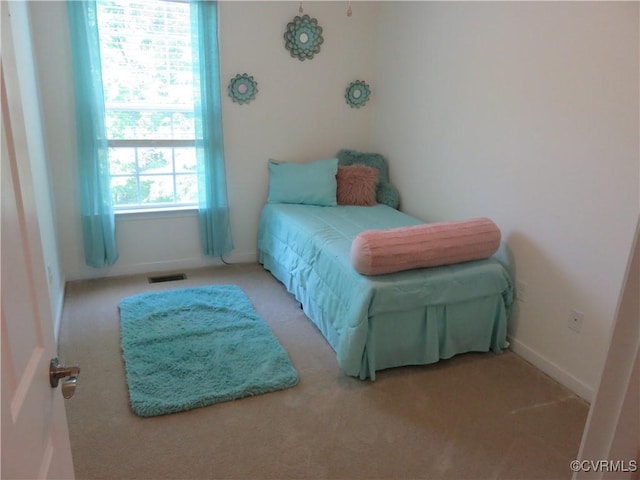 1632 Chestnut Park Ln, Richmond, VA 23222 - bedroom featuring baseboards, carpet, and visible vents