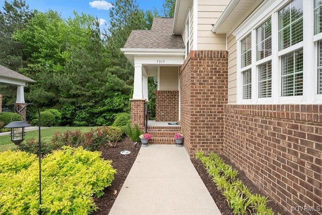7315 Cornus Ave, Chesterfield, VA 23832 - doorway to property with brick siding and a shingled roof