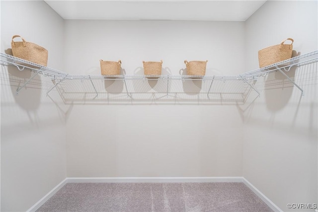 spacious closet with carpet flooring