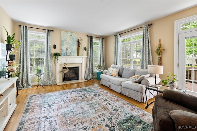 living room with light wood-style flooring and a fireplace with flush hearth