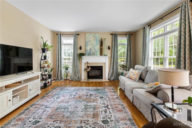 living room featuring a fireplace with flush hearth and light wood-style flooring