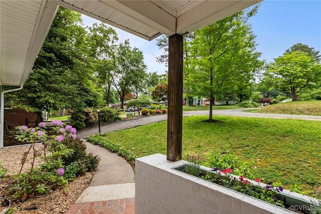 view of grassy yard