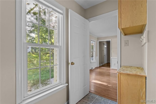 doorway with plenty of natural light and dark wood-style floors
