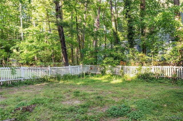 view of yard