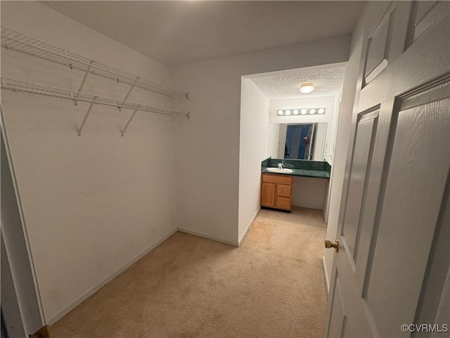 spacious closet featuring light colored carpet and a sink