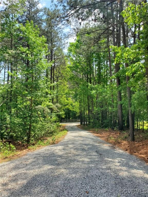 349 Whispering Pine Ln, Bumpass, VA 23024 - view of dirt / gravel road featuring a view of trees