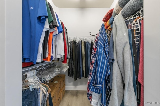 walk in closet featuring wood finished floors