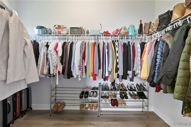 spacious closet featuring wood finished floors