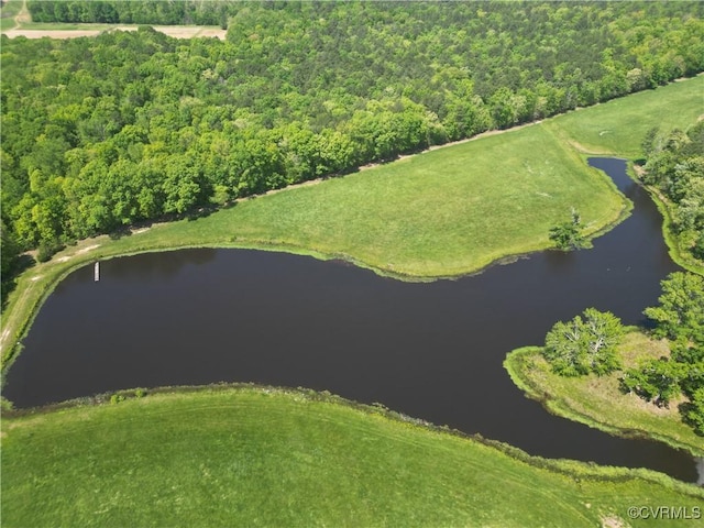 33356 Richmond Tpke, Hanover, VA 23069 - bird's eye view of a large body of water and a heavily wooded area