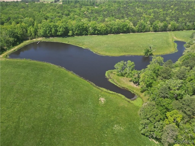 33356 Richmond Tpke, Hanover, VA 23069 - view of property location featuring a nearby body of water and a heavily wooded area