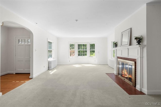 33356 Richmond Tpke, Hanover, VA 23069 - unfurnished living room with arched walkways, carpet, radiator, a fireplace, and baseboards