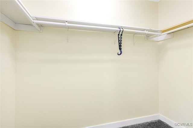 251 Ivy Glen Ln, Bumpass, VA 23024 - view of walk in closet