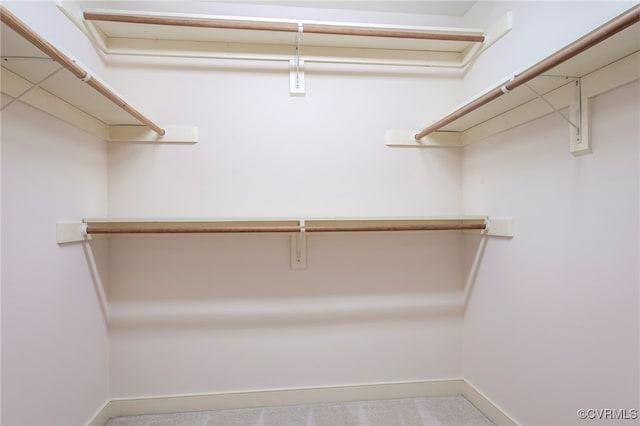 walk in closet with carpet floors