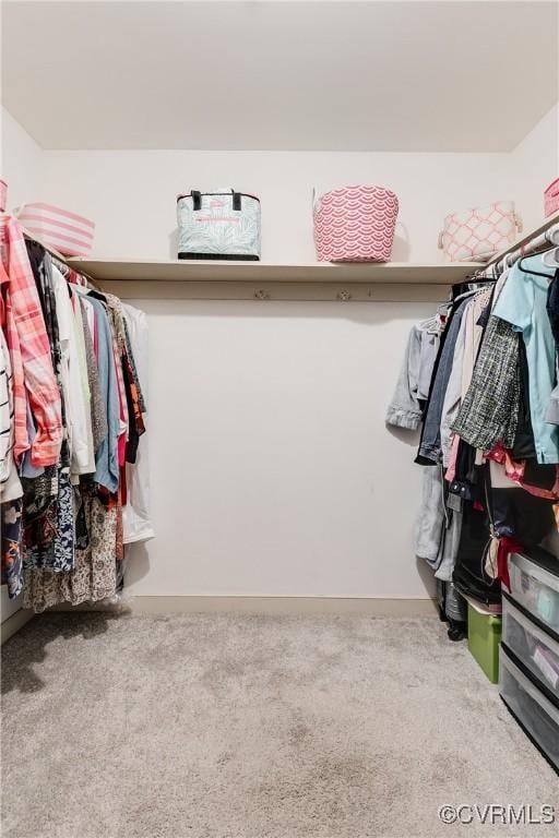 walk in closet with carpet floors