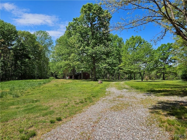 view of street with a wooded view