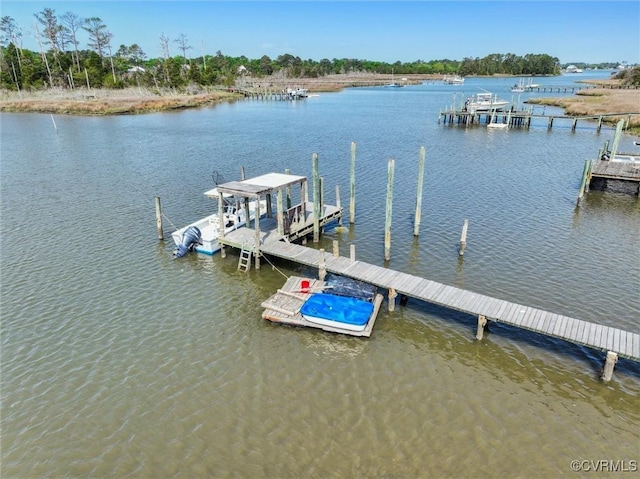 dock area with a water view