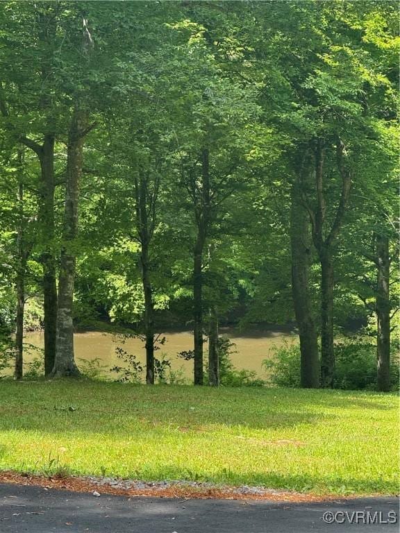 view of nature featuring a view of trees
