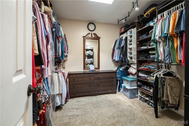 spacious closet with carpet flooring