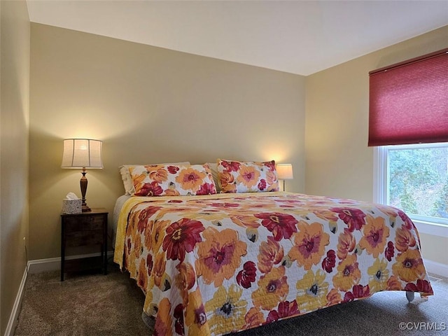 12448 Whisana Ln, Ashland, VA 23005 - bedroom featuring carpet and baseboards