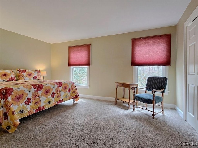 12448 Whisana Ln, Ashland, VA 23005 - carpeted bedroom with baseboards