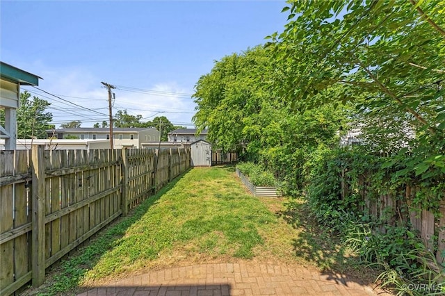 view of yard featuring a shed, an outdoor structure, and a garden