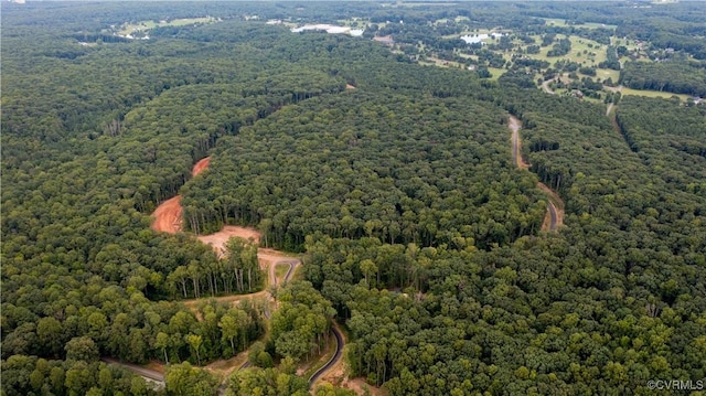 15148 Johns Trace Cir, Montpelier, VA 23192 - view of property location featuring a heavily wooded area