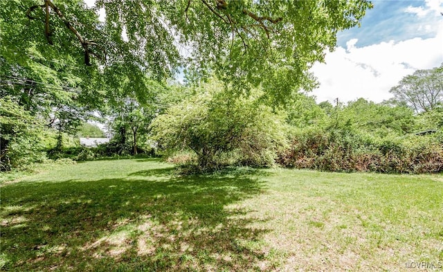 view of green lawn