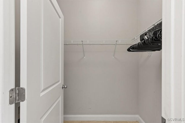 view of spacious closet