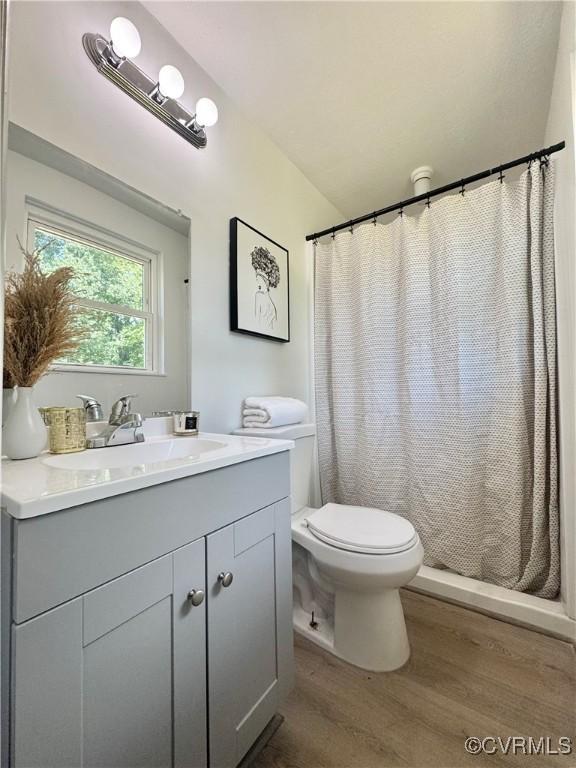 full bath featuring wood finished floors, toilet, vanity, and curtained shower