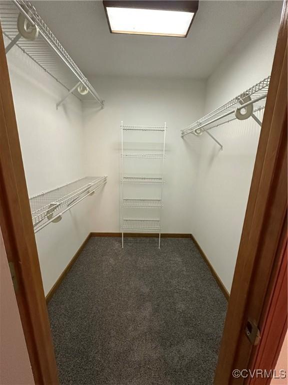 spacious closet featuring carpet flooring