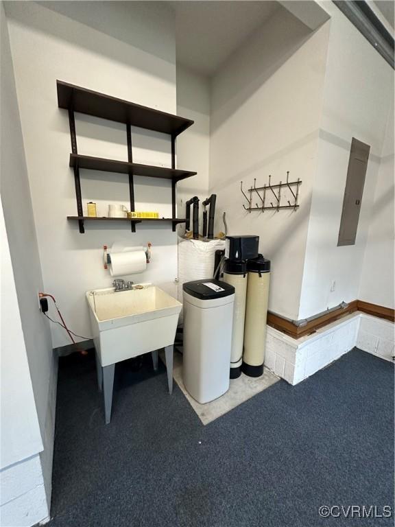 washroom with carpet flooring, electric panel, and a sink