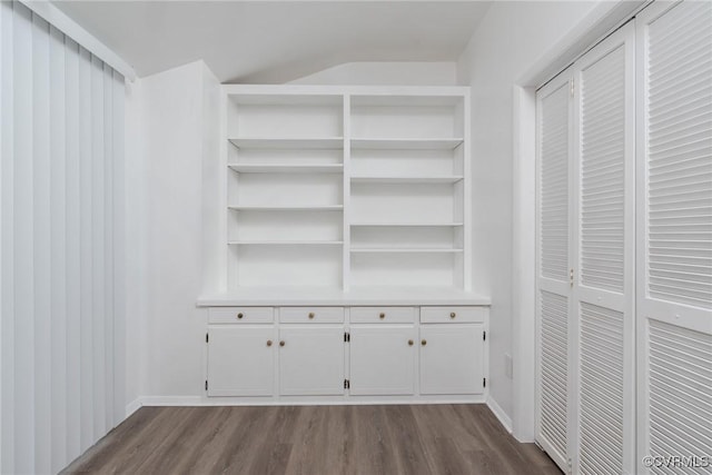 walk in closet with dark wood-style flooring