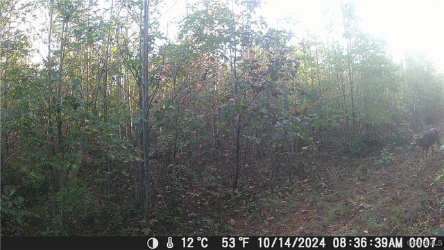 80AC Andersonville Rd, Dillwyn, VA 23936 - photo 13