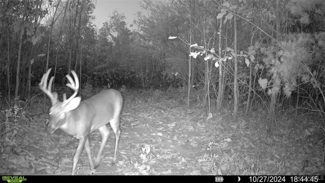 80AC Andersonville Rd, Dillwyn, VA 23936 - photo 5
