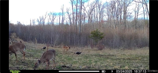 80AC Andersonville Rd, Dillwyn, VA 23936 - photo 10