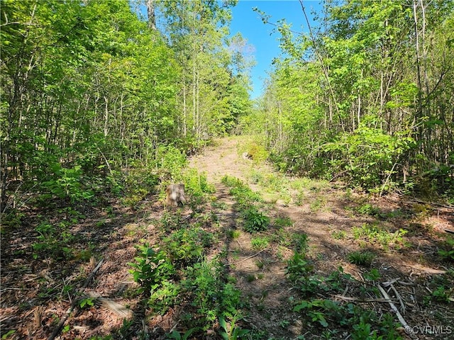 80AC Andersonville Rd, Dillwyn, VA 23936 - photo 35