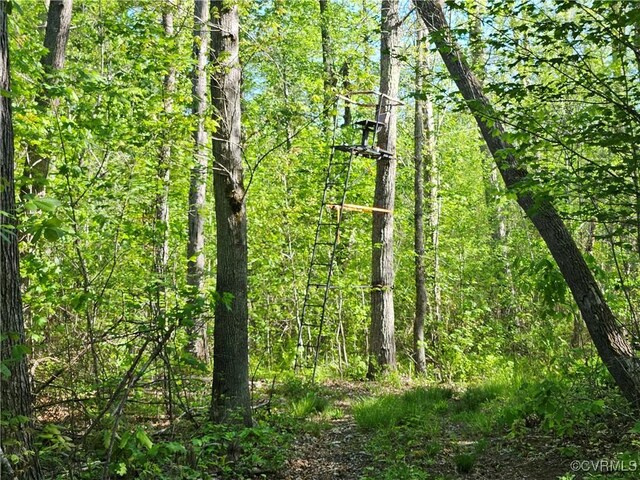 80AC Andersonville Rd, Dillwyn, VA 23936 - photo 36