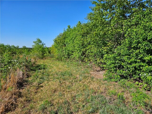 80AC Andersonville Rd, Dillwyn, VA 23936 - photo 37