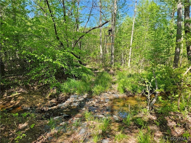 80AC Andersonville Rd, Dillwyn, VA 23936 - photo 38