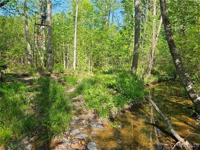 80AC Andersonville Rd, Dillwyn, VA 23936 - photo 39