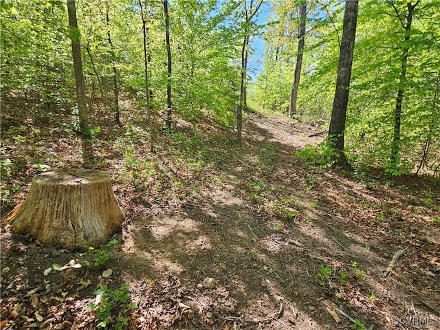 80AC Andersonville Rd, Dillwyn, VA 23936 - photo 40