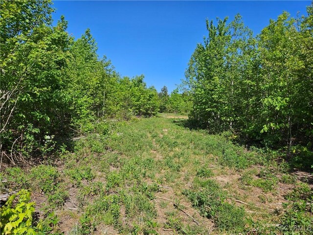 80AC Andersonville Rd, Dillwyn, VA 23936 - photo 41