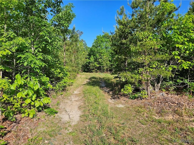 80AC Andersonville Rd, Dillwyn, VA 23936 - photo 23